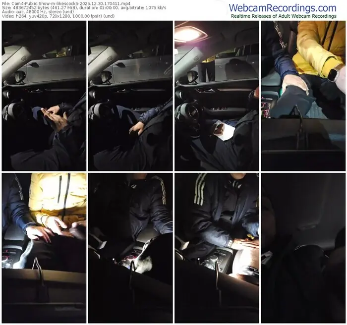 2025/12/30/cam4-likescock5-17-04-11