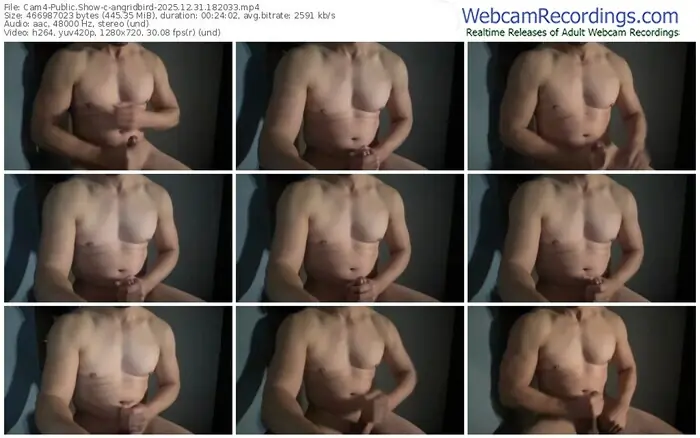 2025/12/31/cam4-angridbird-18-20-33