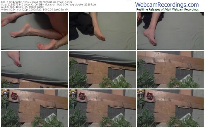 2026/01/02/cam4-heidi28-23-41-18