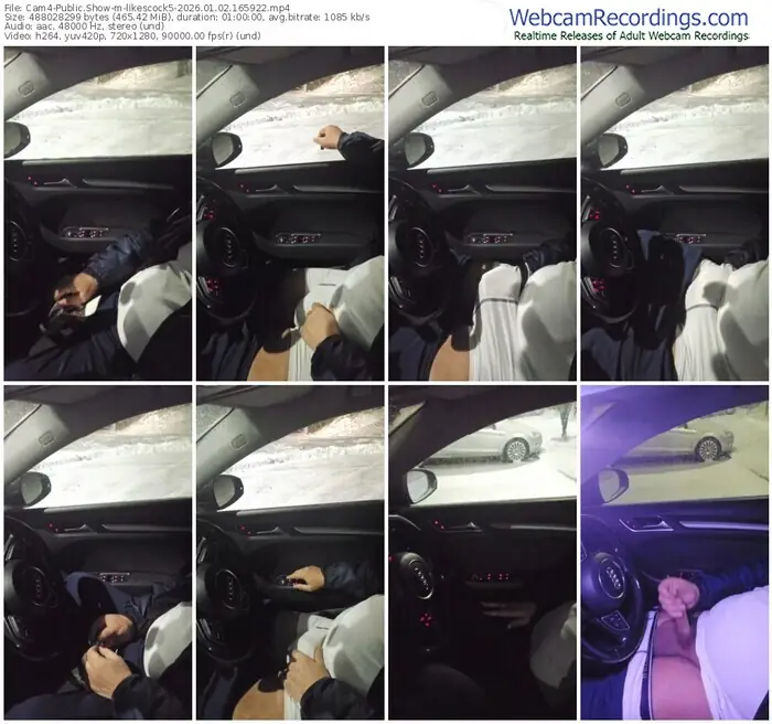 2026/01/02/cam4-likescock5-16-59-22