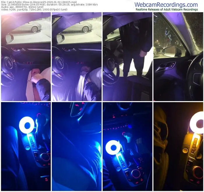 2026/01/02/cam4-likescock5-18-04-15