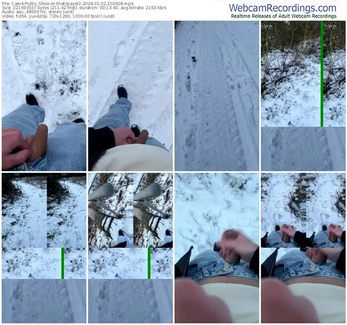 2026/01/02/cam4-thatspavel2-15-09-28