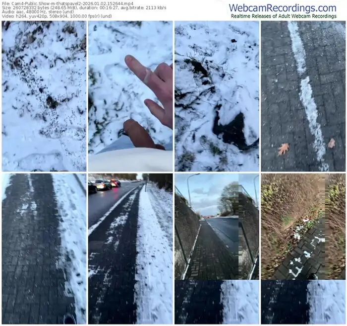 2026/01/02/cam4-thatspavel2-15-26-44