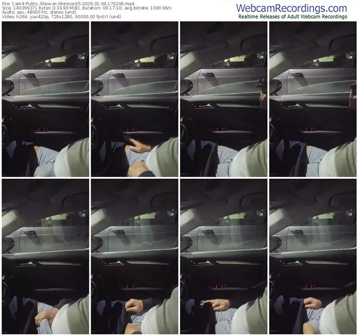 2026/01/04/cam4-likescock5-17-02-06