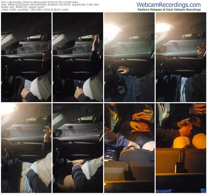 2026/01/04/cam4-likescock5-17-22-00