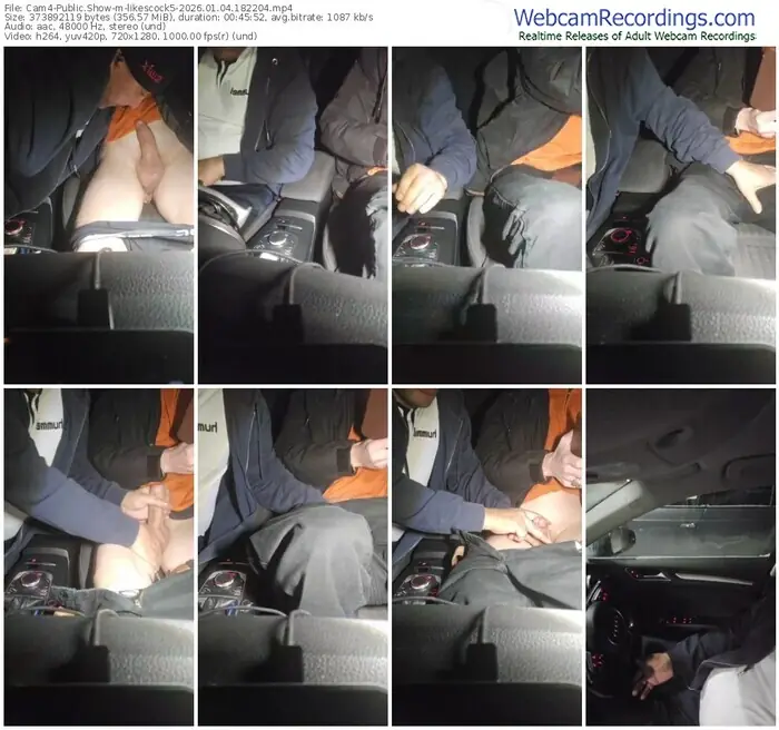 2026/01/04/cam4-likescock5-18-22-04