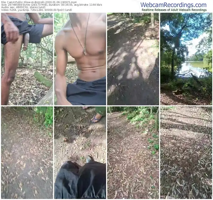 2026/01/06/cam4-bozzolli-19-09-15
