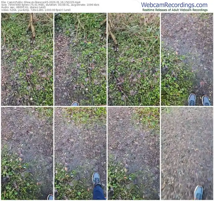 2026/01/16/cam4-likescock5-15-02-23