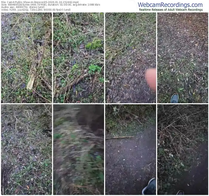 2026/01/16/cam4-likescock5-15-24-42