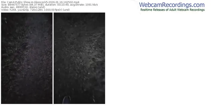 2026/01/16/cam4-likescock5-16-25-02