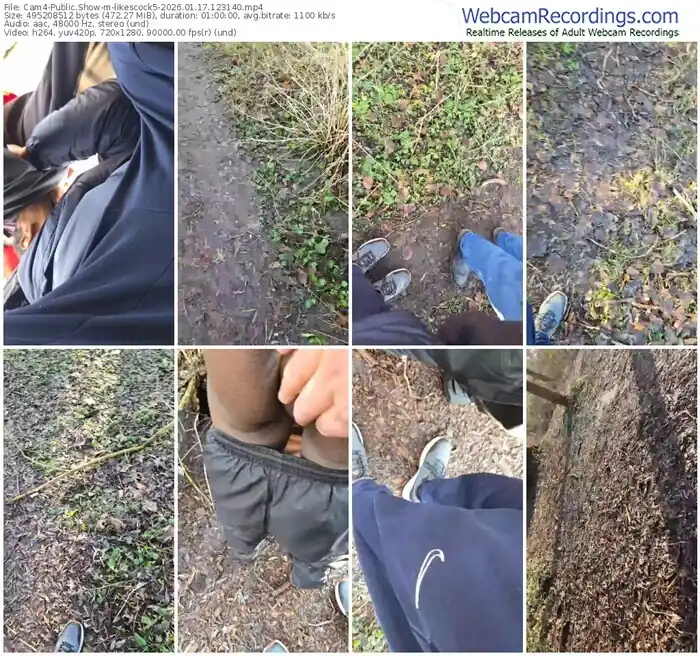 2026/01/17/cam4-likescock5-12-31-40