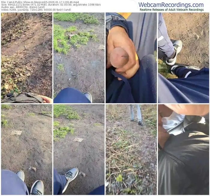 2026/01/17/cam4-likescock5-13-31-46