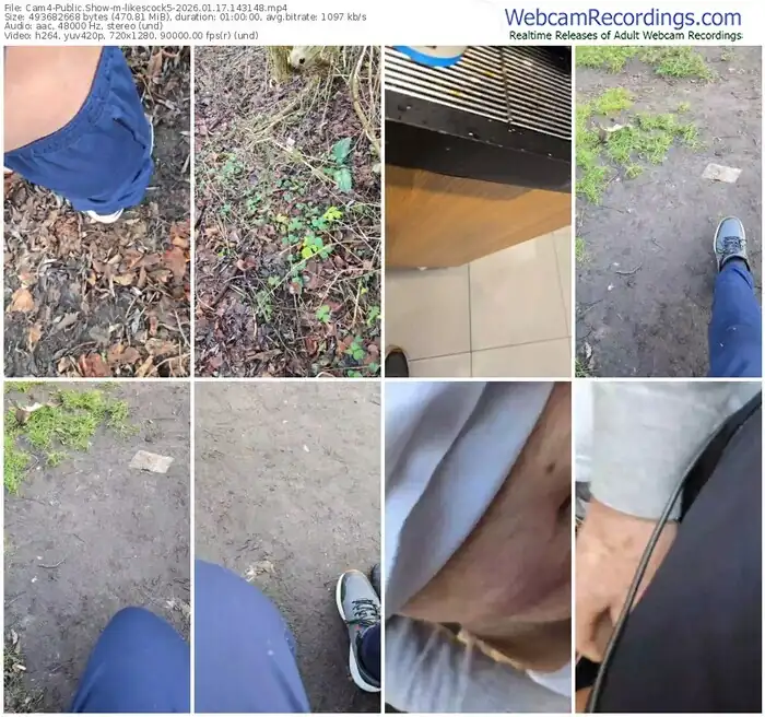 2026/01/17/cam4-likescock5-14-31-48