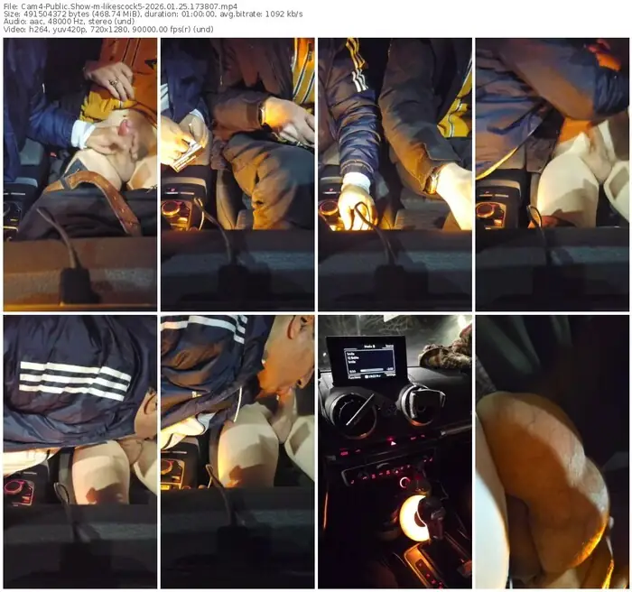 2026/01/25/cam4-likescock5-17-38-07