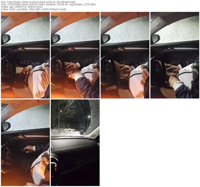 2026/01/25/cam4-likescock5-18-54-26