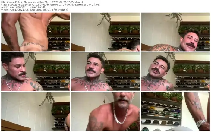 2026/01/29/cam4-recoblue22cm-13-25-16