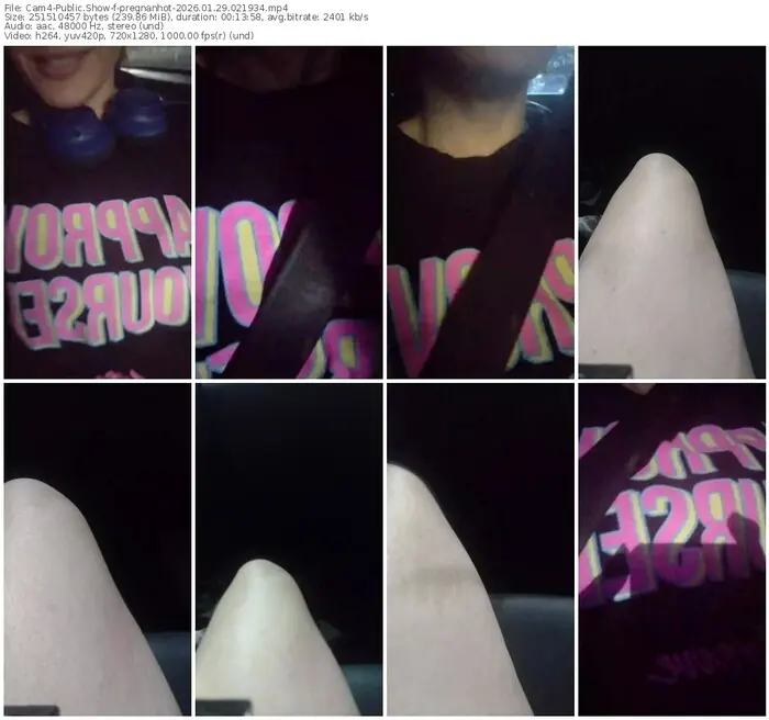 2026/01/29/cam4-pregnanhot-02-19-34