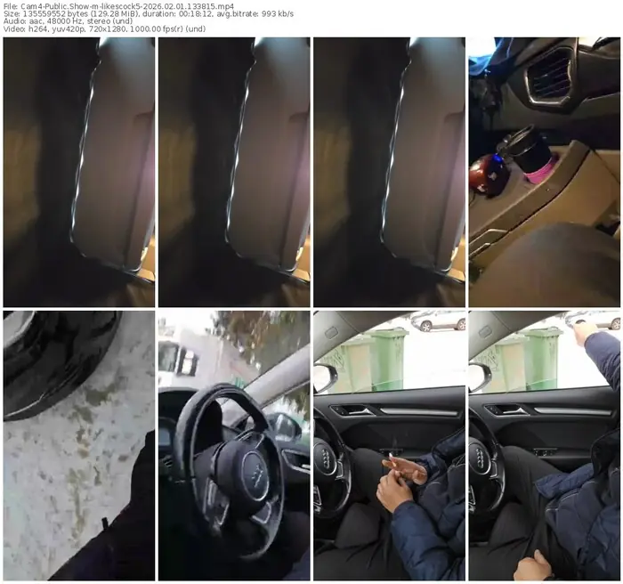 2026/02/01/cam4-likescock5-13-38-15