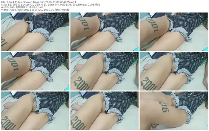 2026/03/07/cam4-tinkerlun-03-47-05