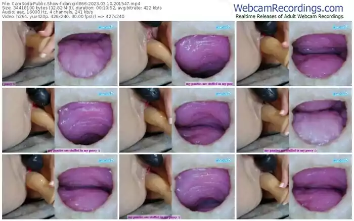 2023/03/10/camsoda-danigirl866-20-15-47