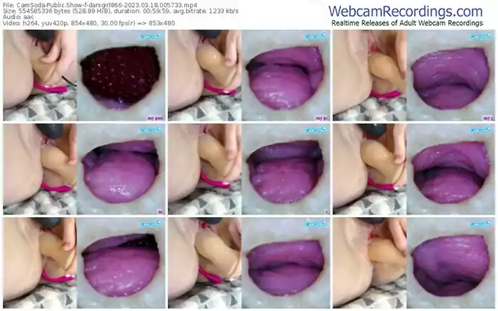 2023/03/18/camsoda-danigirl866-00-57-33