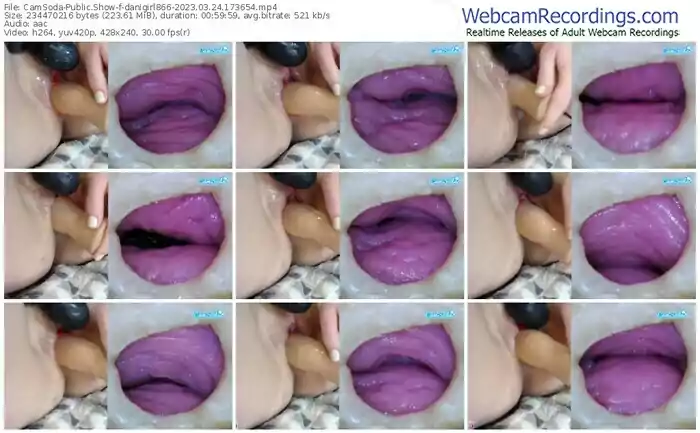 2023/03/24/camsoda-danigirl866-17-36-54