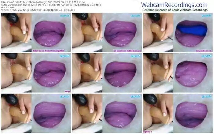 2023/06/12/camsoda-danigirl866-21-27-12