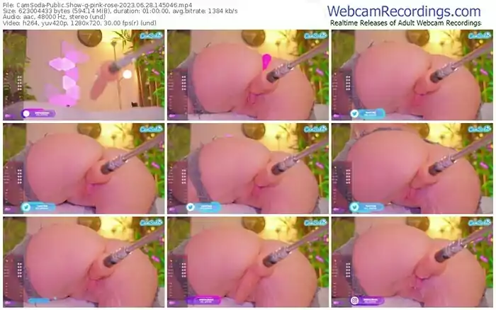 2023/06/28/camsoda-g-pink-rose-14-50-46