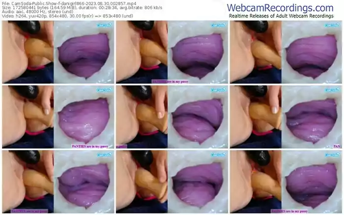 2023/08/30/camsoda-danigirl866-00-28-57