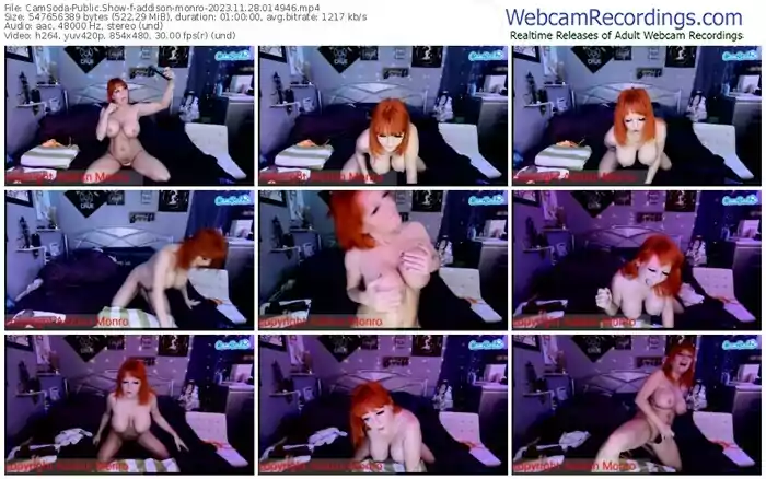 2023/11/28/camsoda-addison-monro-01-49-46