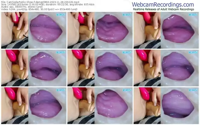 2023/11/28/camsoda-danigirl866-20-02-29