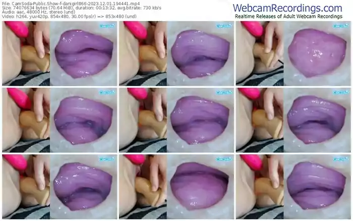 2023/12/01/camsoda-danigirl866-19-44-41