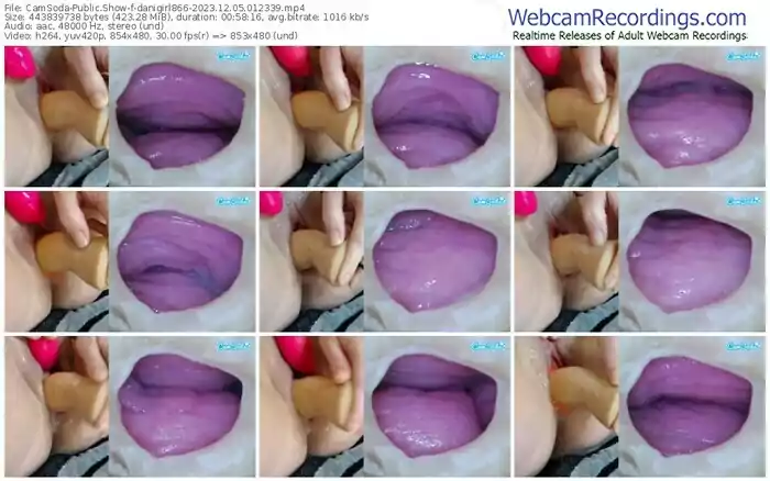 2023/12/05/camsoda-danigirl866-01-23-39