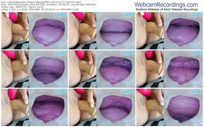 2023/12/07/camsoda-danigirl866-04-24-53