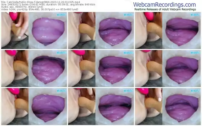 2023/12/20/camsoda-danigirl866-01-19-25