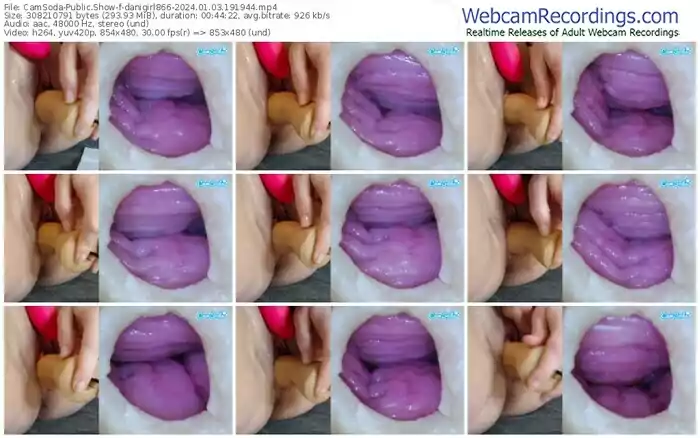 2024/01/03/camsoda-danigirl866-19-19-44