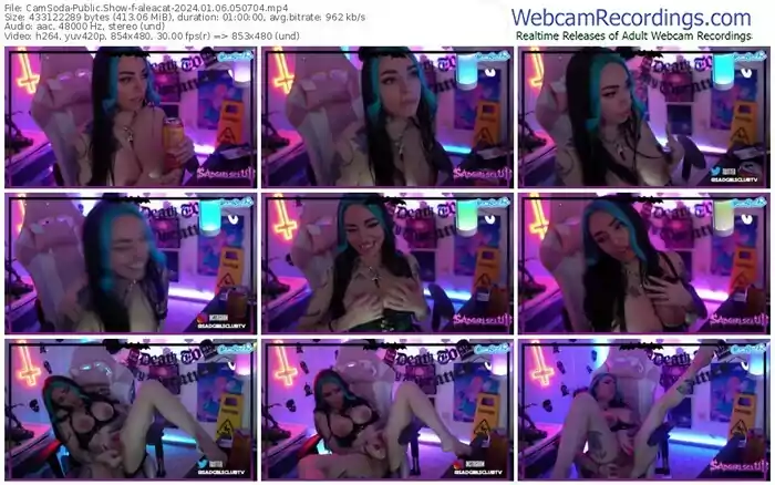 2024/01/06/camsoda-aleacat-05-07-04