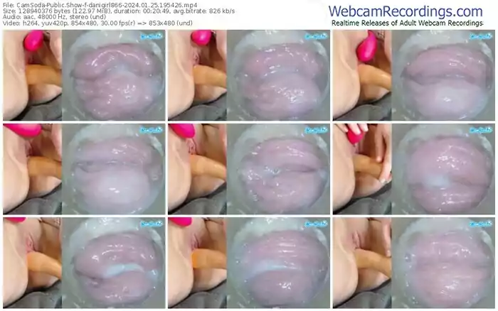 2024/01/25/camsoda-danigirl866-19-54-26