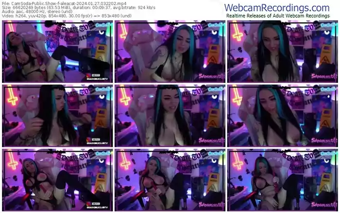 2024/01/27/camsoda-aleacat-03-22-02