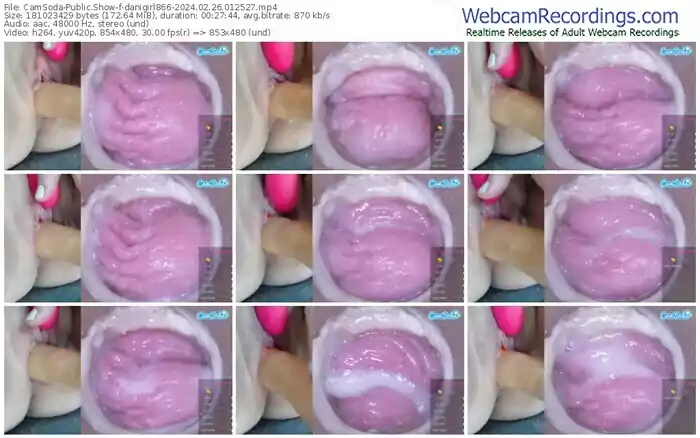 2024/02/26/camsoda-danigirl866-01-25-27