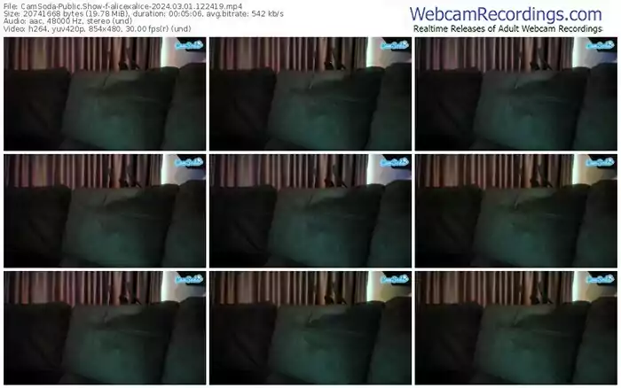 2024/03/01/camsoda-alicexalice-12-24-19