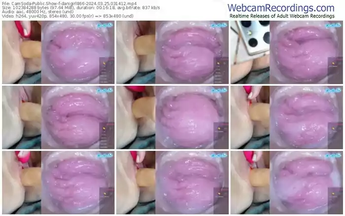 2024/03/25/camsoda-danigirl866-03-14-12