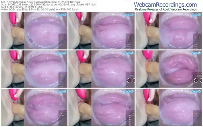 2024/03/26/camsoda-danigirl866-03-14-06