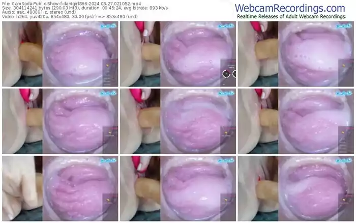2024/03/27/camsoda-danigirl866-02-10-52