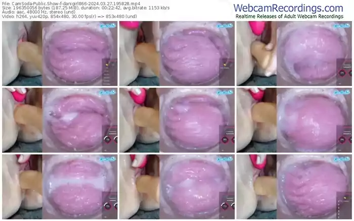 2024/03/27/camsoda-danigirl866-19-58-28