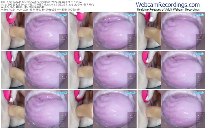 2024/04/02/camsoda-danigirl866-00-16-10