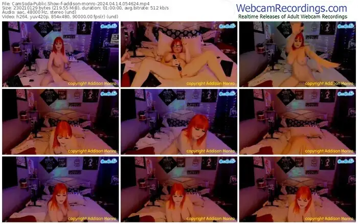 2024/04/14/camsoda-addison-monro-05-46-24