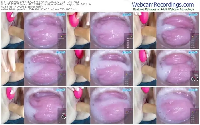 2024/04/17/camsoda-danigirl866-00-52-18