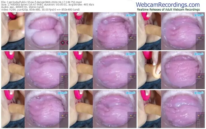 2024/04/17/camsoda-danigirl866-18-17-52