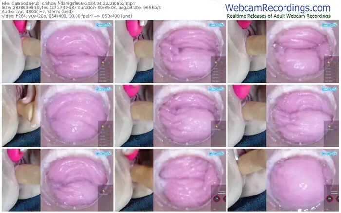 2024/04/22/camsoda-danigirl866-01-08-52